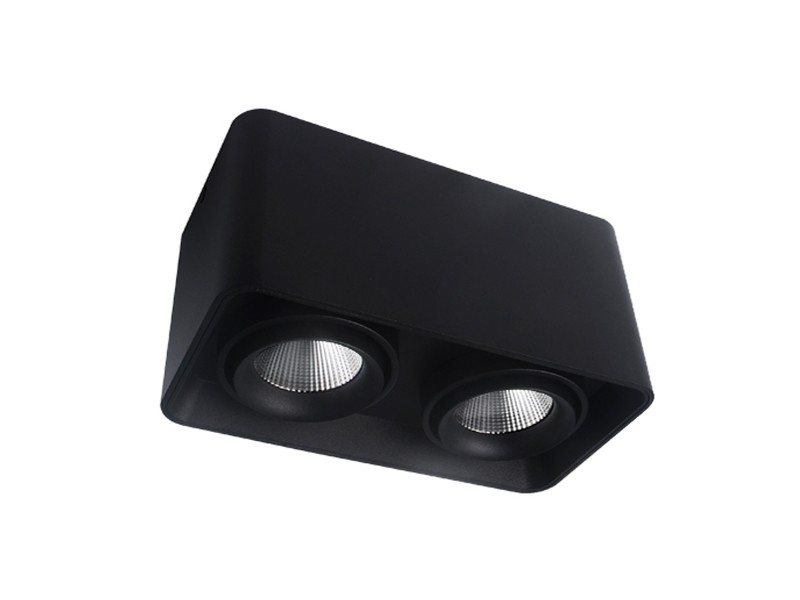 Adjustable Surface Mounted Downlight Double head AC-6001-02